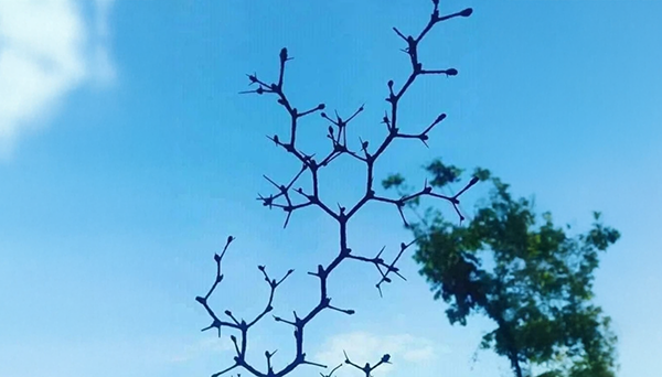 Natural products & biotech