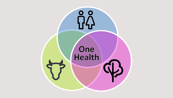 One Health